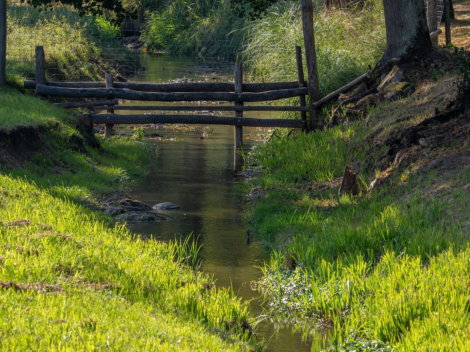 Parklandschaft im WildPark Schloss Tambach bei Coburg